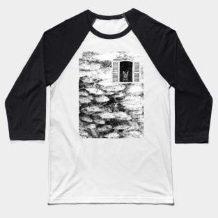 Window Baseball T-Shirt